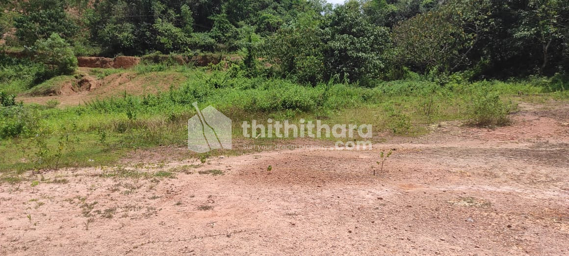 Residential Land Available for Sale in Chakkarakal Kannur