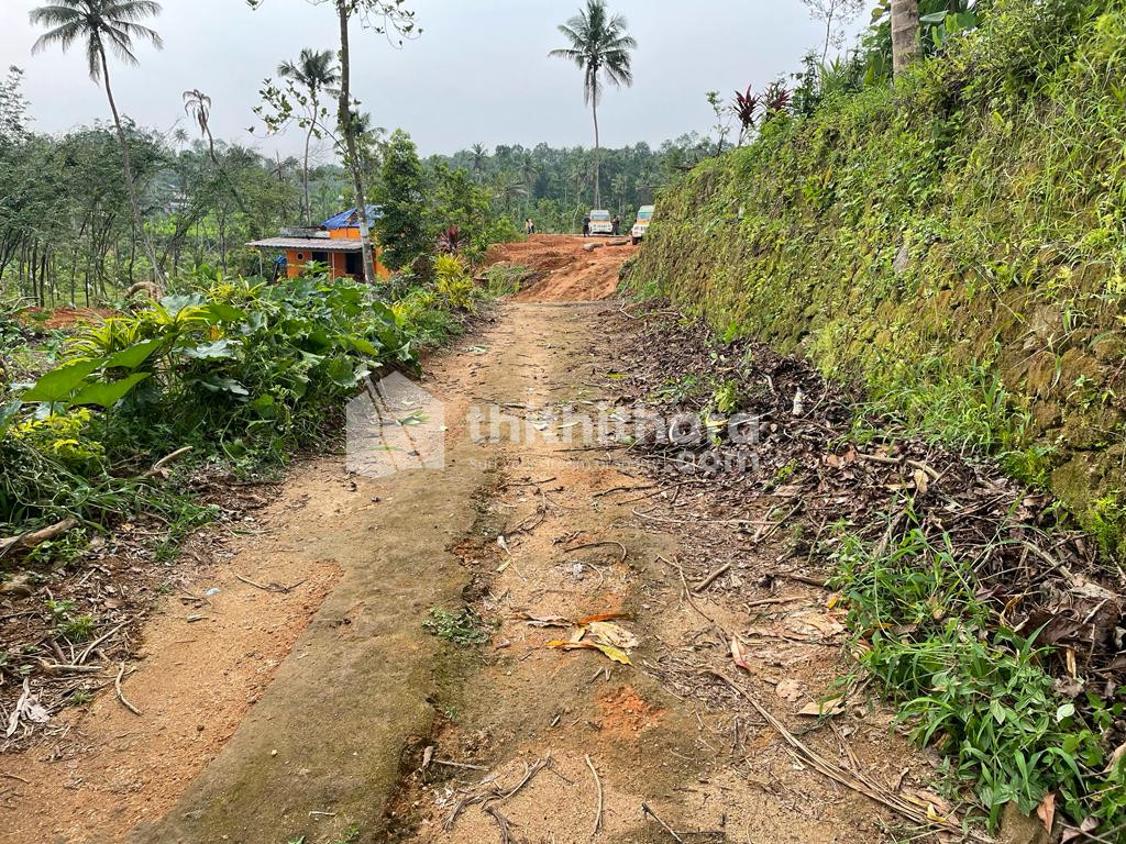 87 Cent @ Kothamangalam
