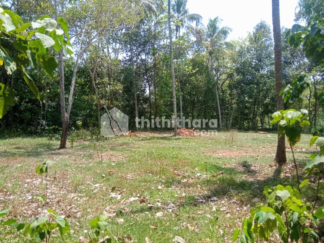 Residential Land Available for sale at Kunnathur Kannur 