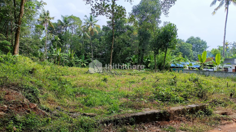 Residential Land Available for Sale in Varkala Thiruvananthapuram