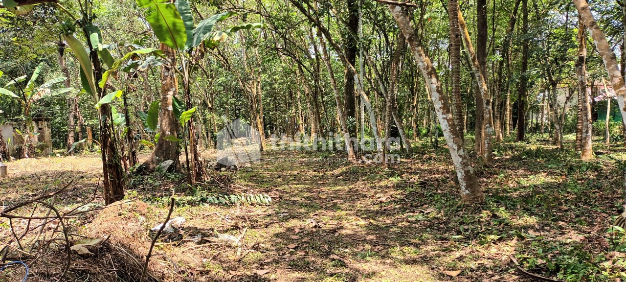 Residential Land Available for Sale in Kunnathur Kollam