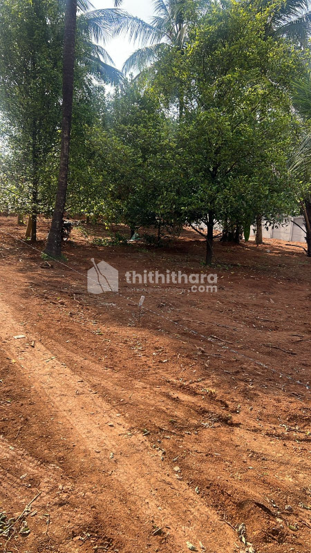 Residential Land Available For Sale Kolazhy Thrissur