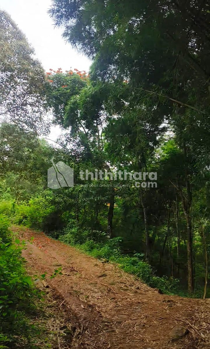 Commercial Plots Available for Sale in Devikulam Idukki