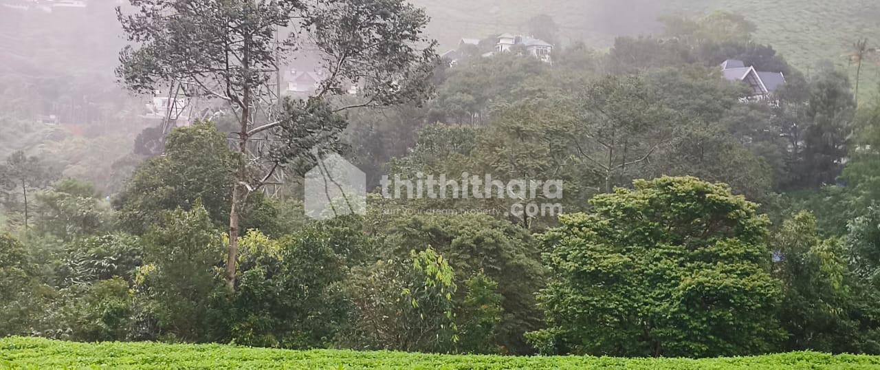 Commercial Plots Available for Sale in Devikulam Idukki