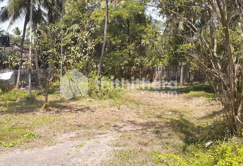 Residential Land Available For Sale Mannuthy Thrissur