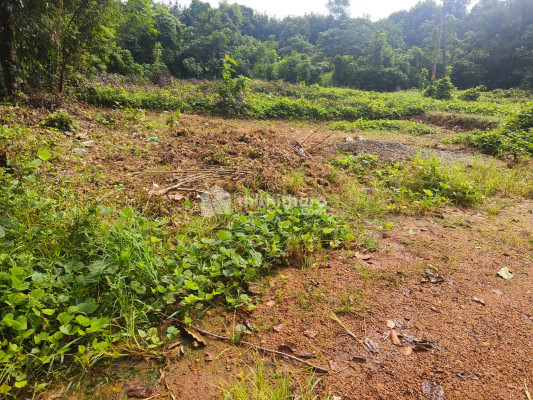 Residential Land available for Sale in Thiruvalla Pathanamthitta