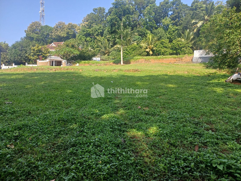 Residential Land Available for Sale in Poonjar Kottayam