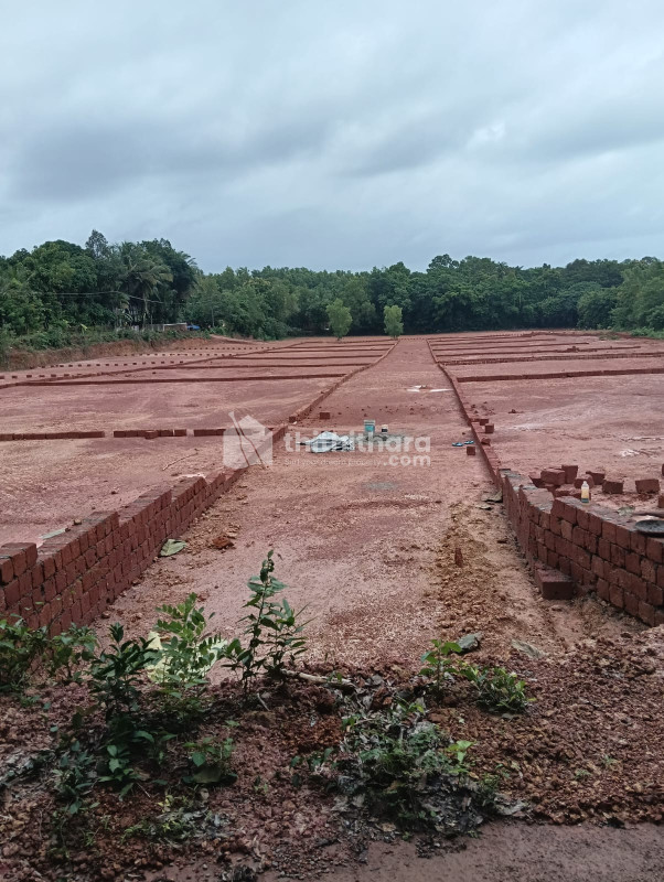 Residential Land Available For Sale in Payyanur Kannur