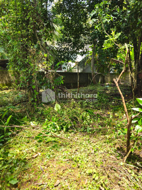 Residential Land Available for Sale in Pattambi Palakkad