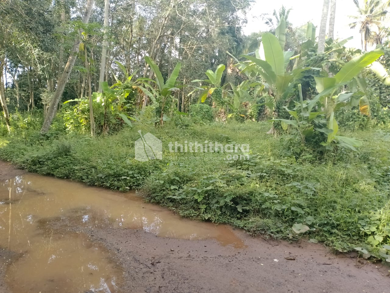 Residential Land Available for Sale in Nedumangad Thiruvananthapuram