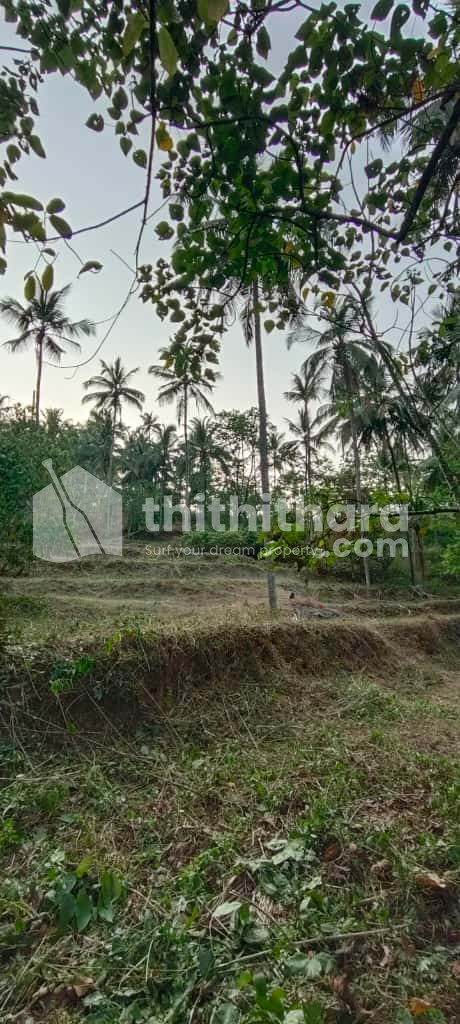 Residential Land Available for Sale in Kondotty Malappuram
