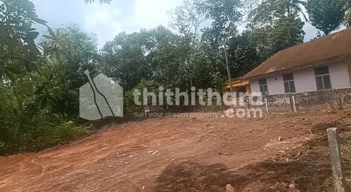 Residential  land Available for Sale in Pattambi Palakkad