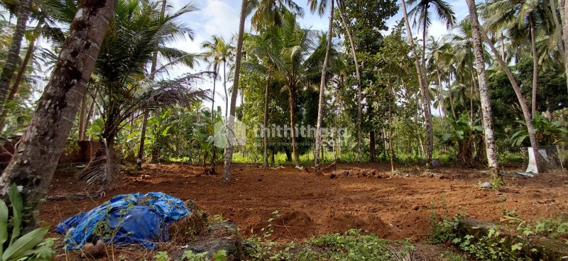 Residential Land available for Sale in Elathur Kozhikode