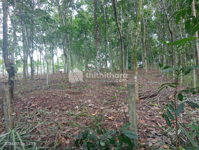 Residential Land Available For Sale at Karukachal Kottayam 