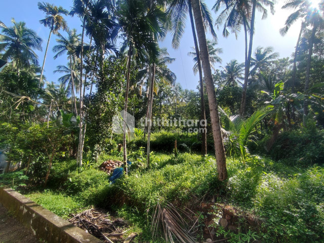 Residential Land Available for Sale in Kunnamangalam Kozhikode