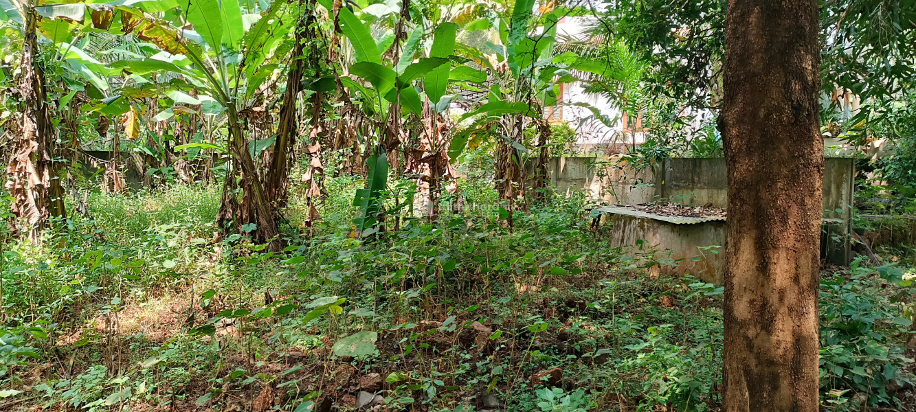 Residential Land Available For Sale In Mavoor Kozhikode 