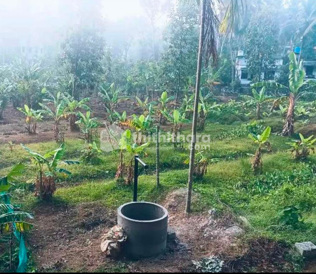 Residential Land Available for Sale in Punalur Kollam