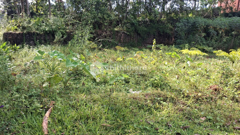 Residential Land Available for Sale in Maalam Kottayam