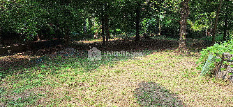 Residential Land available for Sale in Chalakudy Thrissur