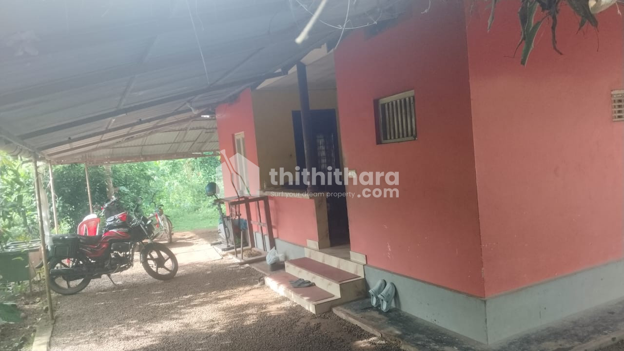 3BHK Independent House Available for Sale in Chottanikkara Ernakulam