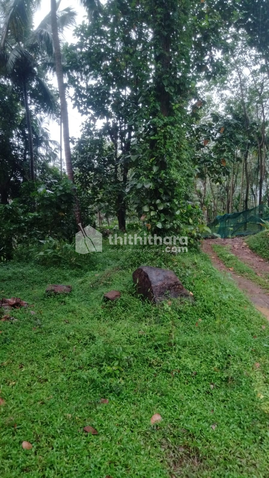 Commercial Plots Available for Sale in Quilandy Kozhikode