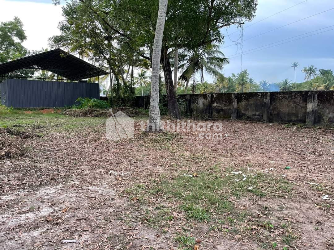 Residential Land available for Sale in Cherthala Alappuzha