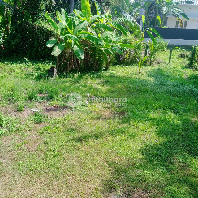 Residential Land available for Sale in Kuttanad Alappuzha