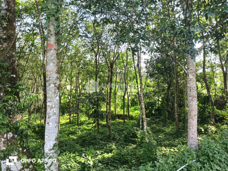 Residential Land Available for Sale in Aranmula Pathanamthitta