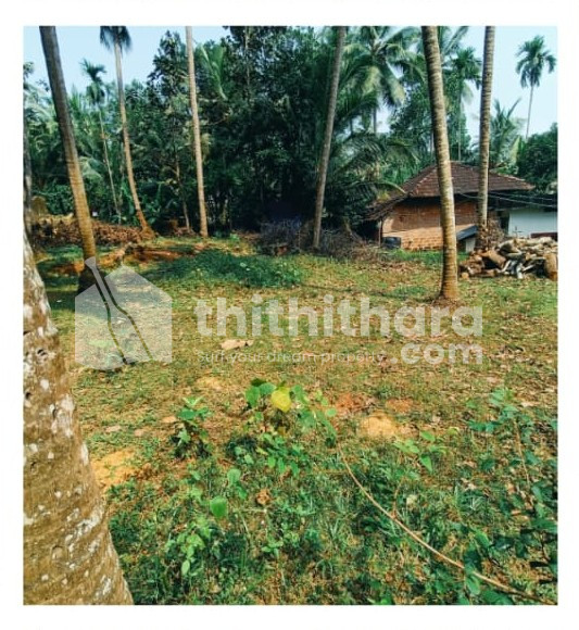 Residential Land Available for Sale in Quilandy Kozhikode