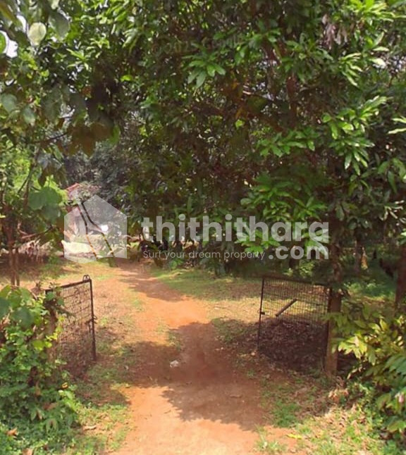 Residential Land Available for sale in Chalissery Palakakd 