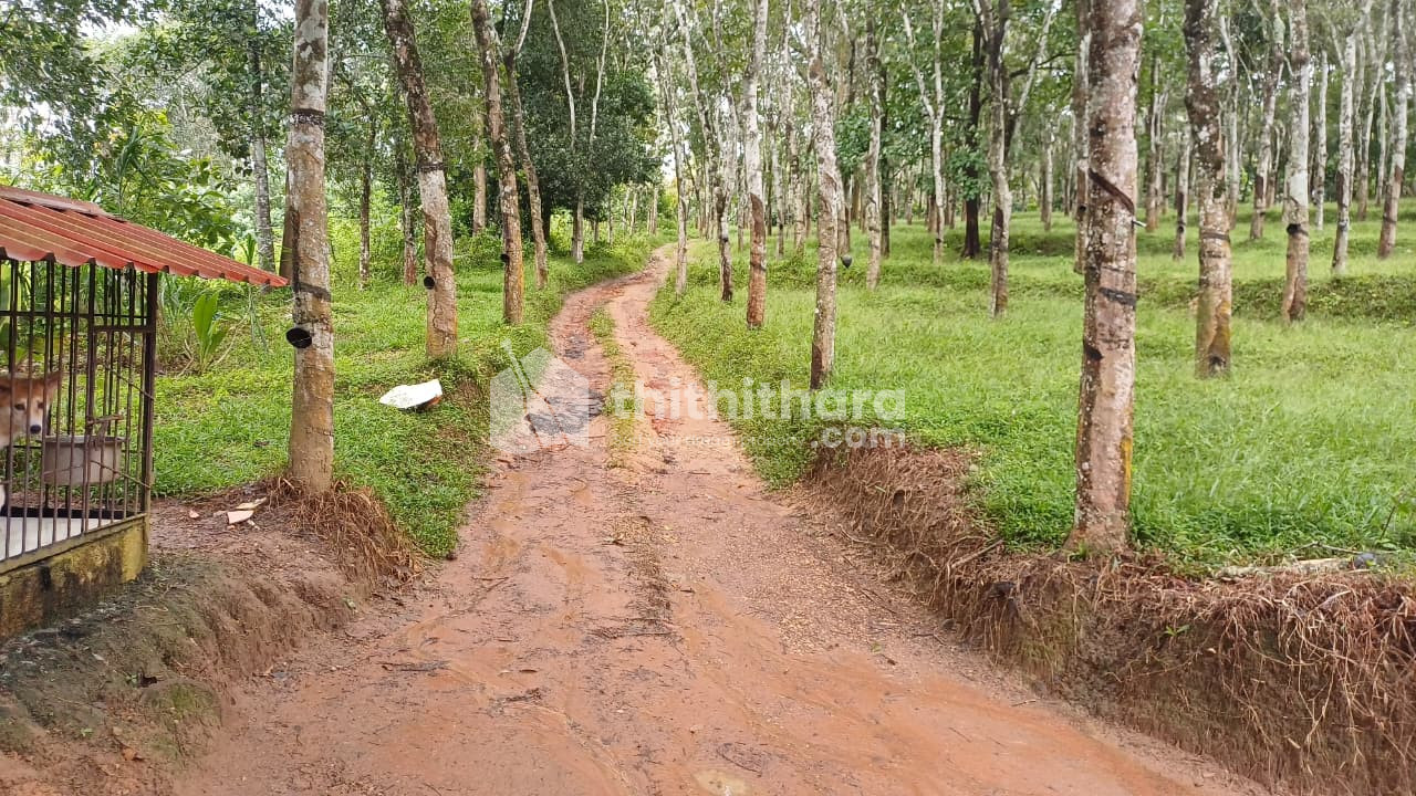 Residential Land Available for Sale in Sulthanbathery Wayanad