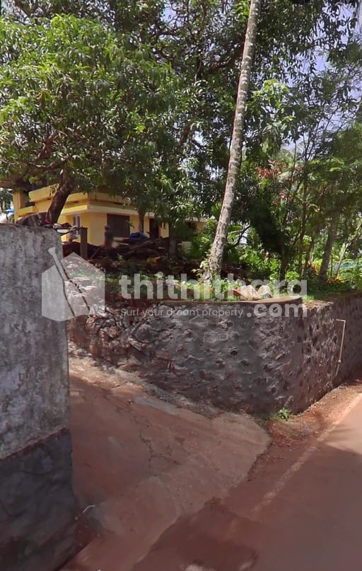 Residential Land Available for Sale in Medical College Kozhikode
