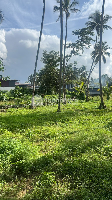 Residential Land Available for Sale in Panampilly Thrissur