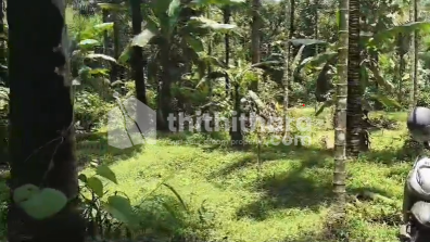 Commercial Plots Available for Sale in Sulthanbathery Wayanad