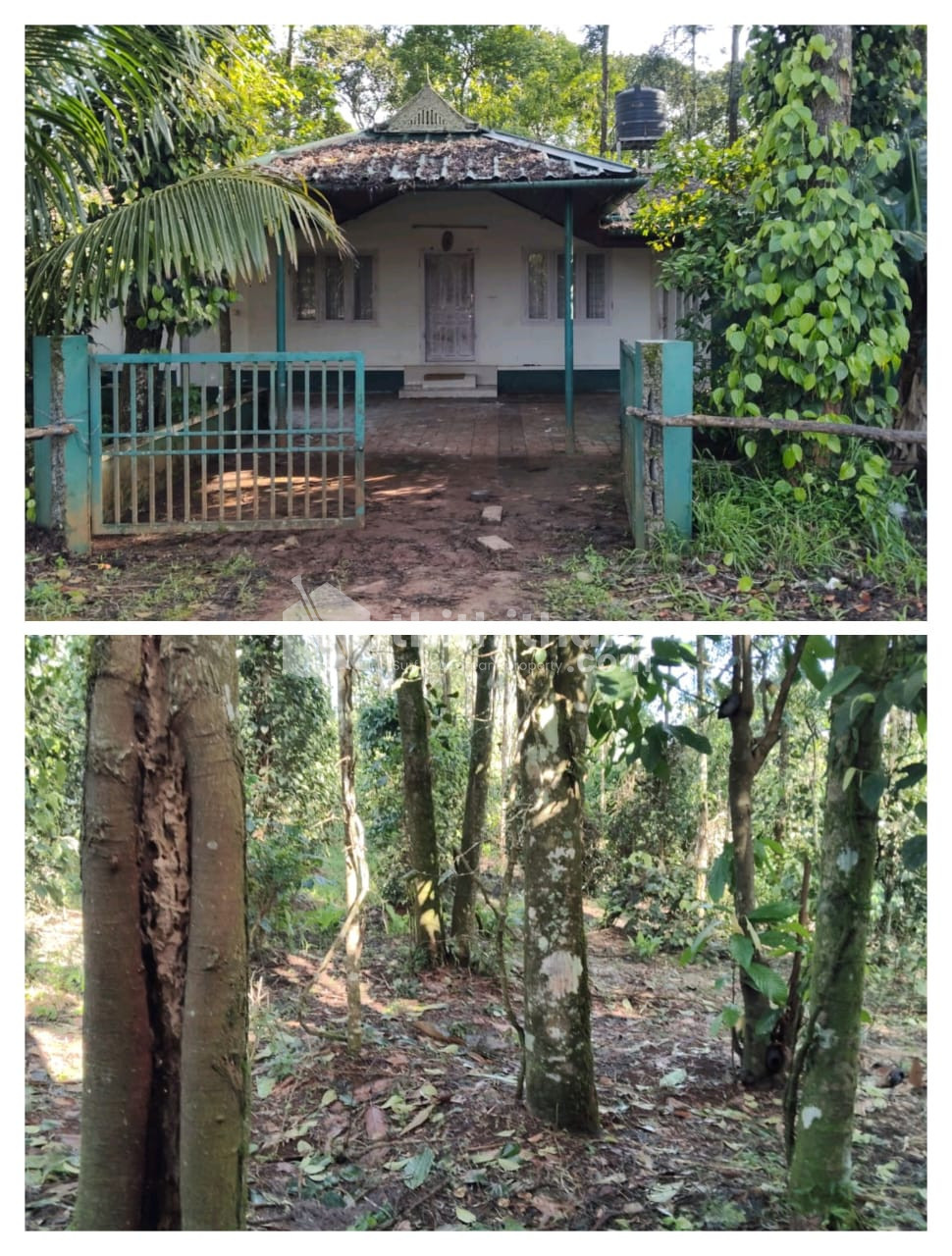 Commercial Plots Available for Sale in Devikulam Idukki