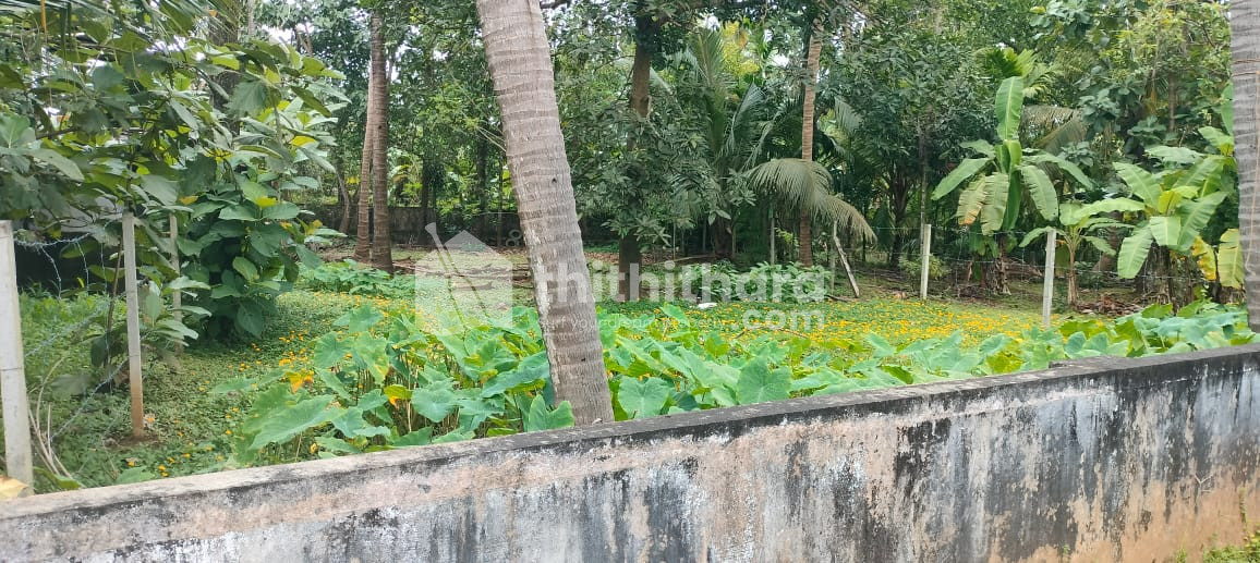 Residential Land for sale in Mukkattukara, near church Thrissur