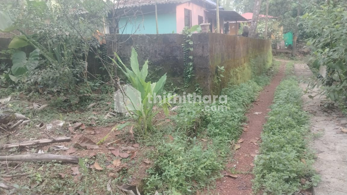 Residential Land available for Sale in Mulanthuruthy, Chottanikkara, Ernakulam