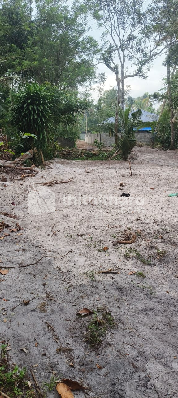Residential Land Available for Sale in Cherthala Alappuzha