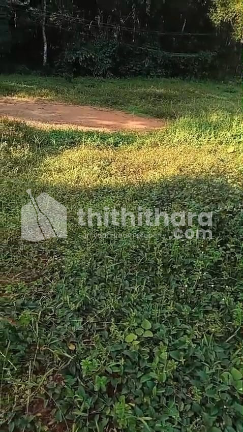 Residential Land Available for Sale in Mallappally Pathanamthitta