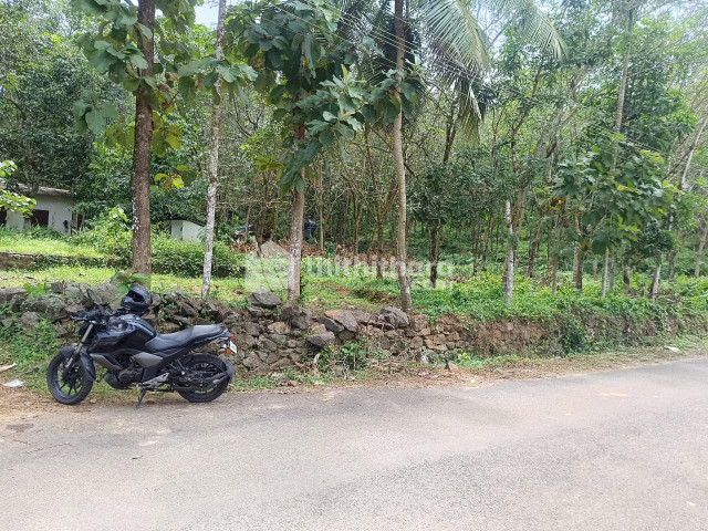 Residential Land Available for Sale in Kottarakara Kollam