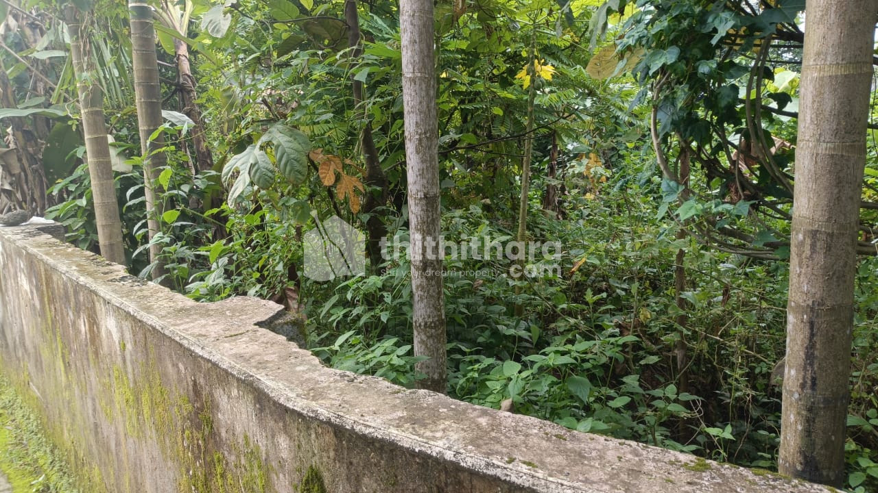 Residential Land Available for Sale in Perumbavoor Ernakulam