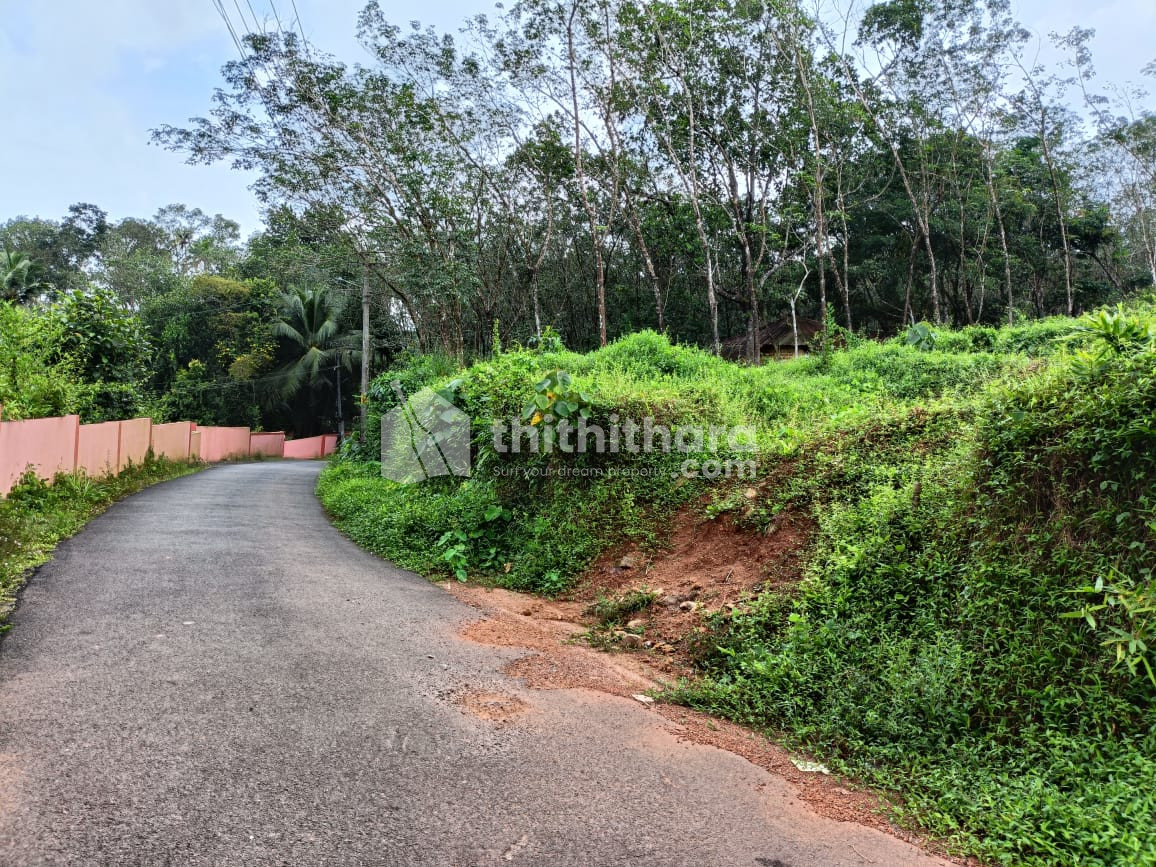 Residential Land Available for Sale in Kaduthuruthy Kottayam