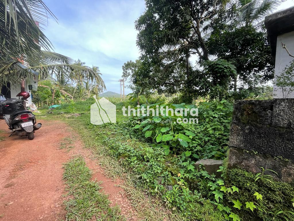 Residential Plot for Sale in Kondotty 
