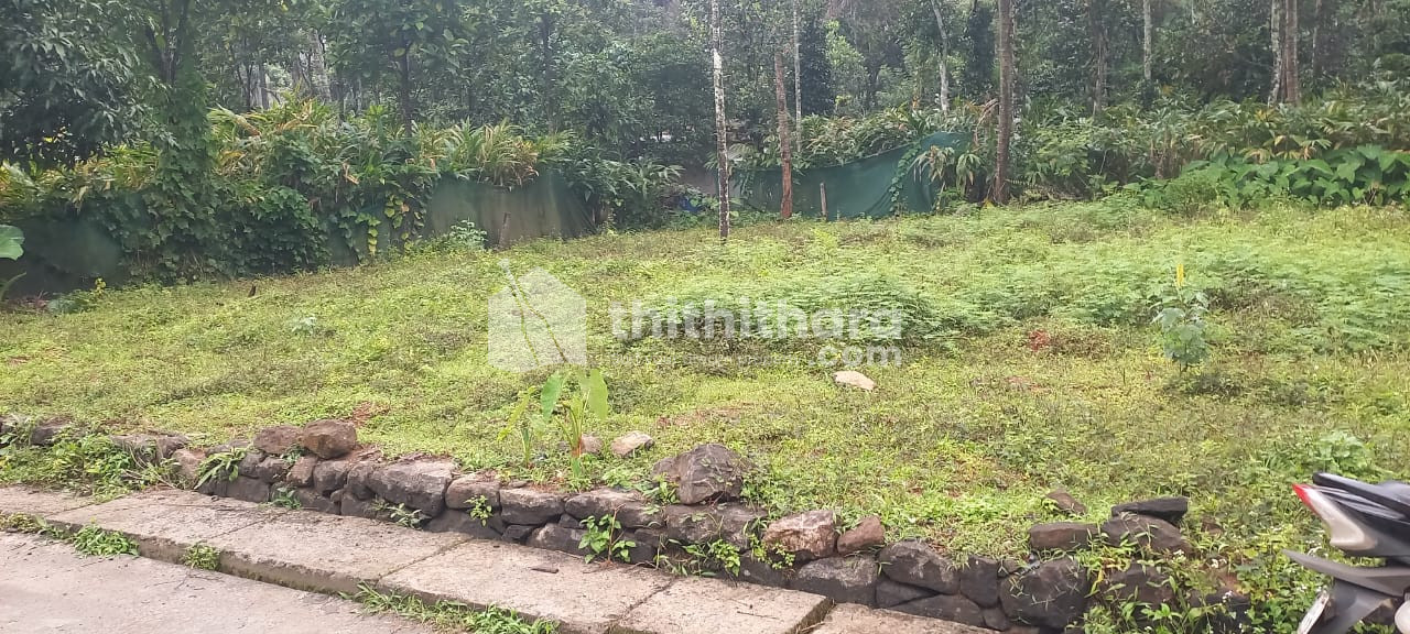 Residential Land available for Sale in Kattappana town, Idukki, Idukki