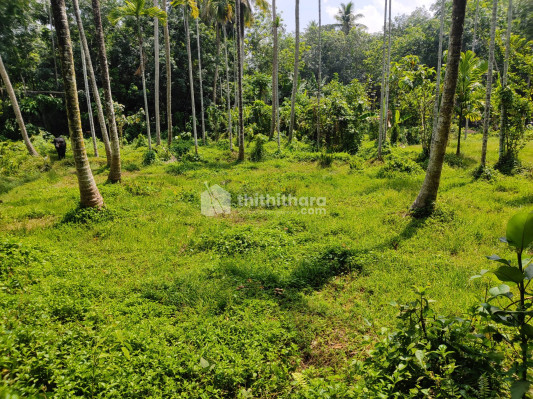 Residential Land Available for sale in Nedumangdu Thiruvananthapuram