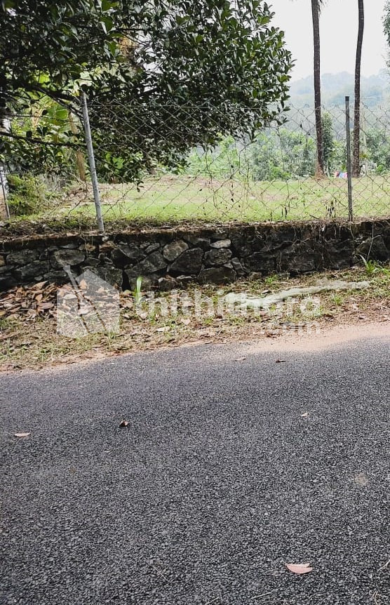 Sale of Residential land near pathanamthitta, Omalloor