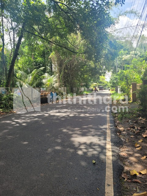 Residential Plots for Sale in Kottuvally, Koonammavu thumbnail 2