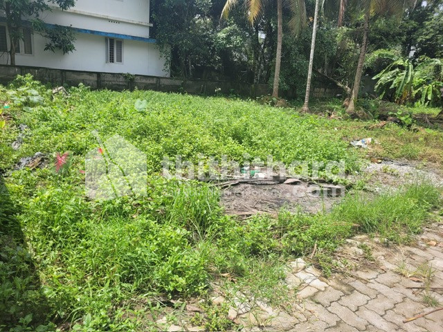 Residential Plots for Sale in Kottuvally, Koonammavu thumbnail 3