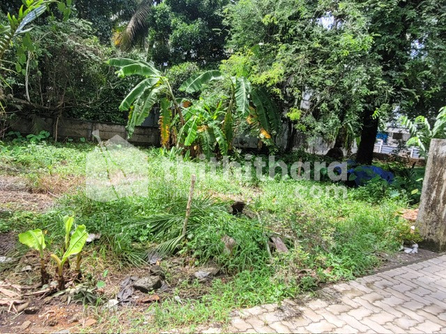 Residential Plots for Sale in Kottuvally, Koonammavu thumbnail 4