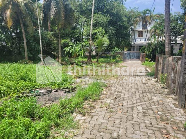 Residential Plots for Sale in Kottuvally, Koonammavu thumbnail 5